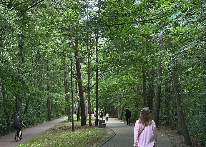 Sulmare Nadmorski 格但斯克